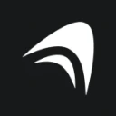Anything logo